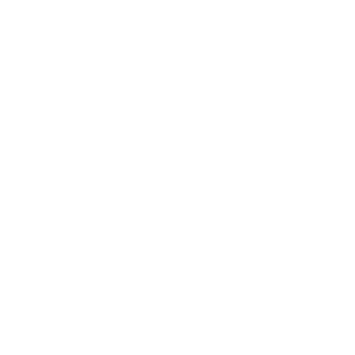 Reflective Safety Vests